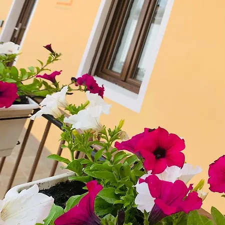 Bb Borgo Biella