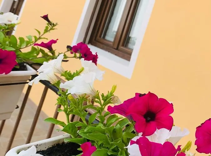 Bb Borgo Biella